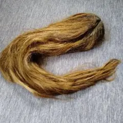 Item thumbnail for item ea804069-7955-425e-9b99-a36e99086e6a