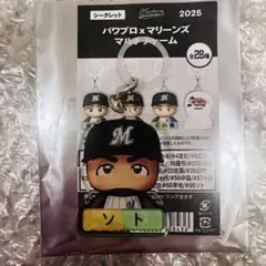 千葉ロッテマリーンズ パワプロ マルチチャーム ソト