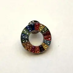 SDGs ピンバッジ　スワロフスキー