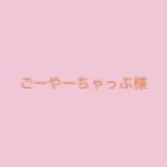 ごーやーちゃっぷ様ご購入ページ⭐︎