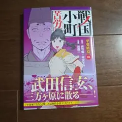 戦国小町苦労譚 甲斐終焉　18