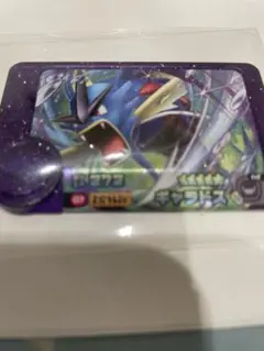 ギャラドス ★5 ポケモンフレンダ
