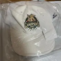 東京ヤクルトスワローズ　2015 優勝記念キャップ　タグ付　MIZUNO ミズノ
