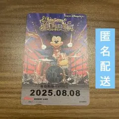 ディズニーリゾートライン　ビッグバンドビート　フリーきっぷ　大人