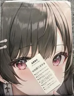 タペストリー　B1サイズ約103㎝×73㎝