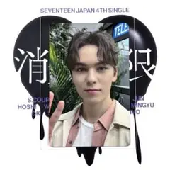 バーノン トレカ 消費期限 タワレコ特典 seventeen