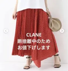 クラネSTRIPE FLOWER PLEATS SK/ロングスカート