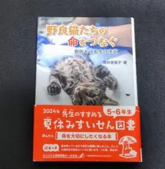 【読書感想文に!!】野良猫たちの命をつなぐ 佐井恵里子著