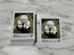 Item thumbnail for item 5d835434-cc9f-4ebd-9bf1-762b67333b07