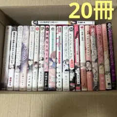 ＢＬ 漫画 20冊 セット ボーイズラブ