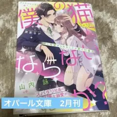2025年最新】オパール文庫ジョシロマ系の人気アイテム - メルカリ