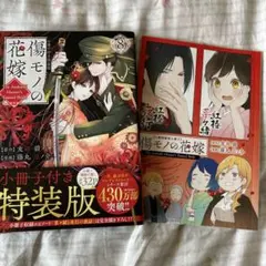 傷もの花嫁　8巻　特装版小冊子付き