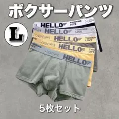 ボクサーパンツ L 5枚セット 前閉じ 快適フィット アンダーウェア 見せパン
