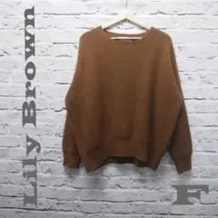 リリー ブラウン　Lily Brown　ニットセーター　サイズ　F