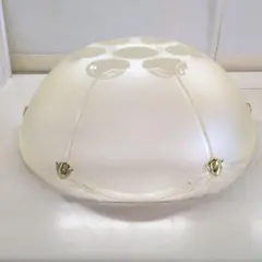 家庭用吊下型蛍光灯