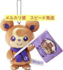 サンフレッチェ×ポケモンセンターヒロシマ マスコット ヒメグマ