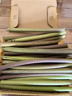 Item thumbnail for item bf5638b7-0321-4a89-b5a7-e2b40fd1624a