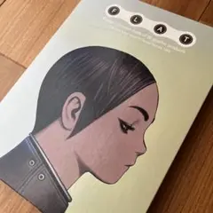 FLAT 作品集 古本 グラフィック ビンテージ ワニマガジン 村田蓮爾