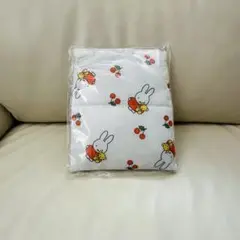 Item thumbnail for item 79428b49-b3f2-48db-8812-3cfc69338916