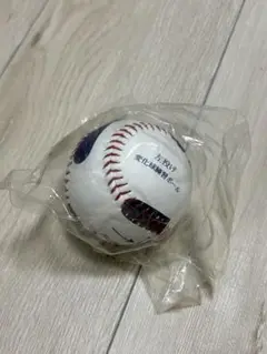 横浜DeNAベイスターズ 変化球練習ボール