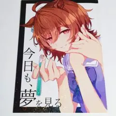 B5 ウマ娘 同人誌 漫画 百合 夢女ステークス　夢漫画　アグネスタキオン