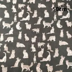 リバティ　タナローン　ミャオウプティ　縮小猫柄　インクブラック　50cm