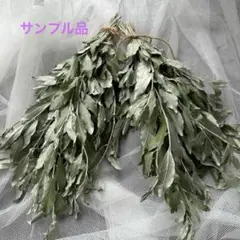 ロシアンオリーブ ナチュラルスワッグ2点