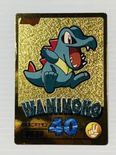 ポケモンカード Meiji ワニノコ