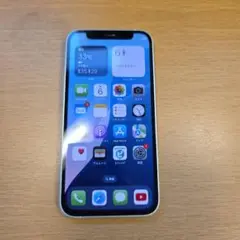 Apple iPhone 12mini ミントグリーン 本体