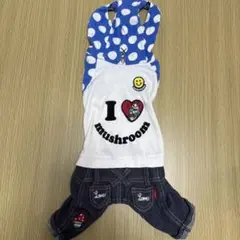 Item thumbnail for item 60dfda15-6420-4123-a44a-c2911d9cf358