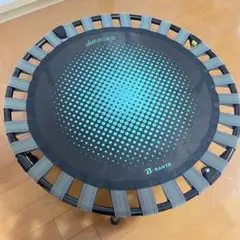 SANTE diet step トランポリン