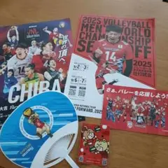 ネーションズリーグ2025 千葉大会　チラシ　ポストカード　シール　うちわ