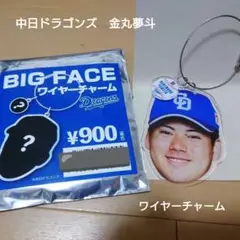 【中日ドラゴンズ】金丸夢斗 選手⚾️ワイヤーチャーム