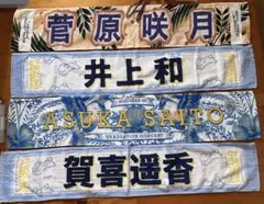 坂道シリーズ 応援タオルセット