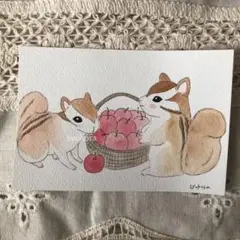 原画　水彩画　リス　りんご　ポストカード　手描き　アナログイラスト　特厚口