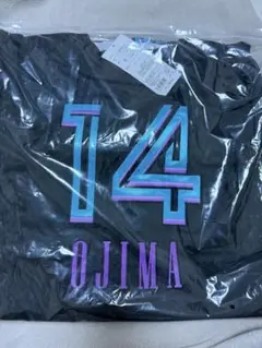 Item thumbnail for item b9d34fbf-378e-4d65-b8a3-32c656f168f9