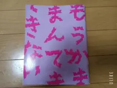 もうがまんできない　パンフレット
