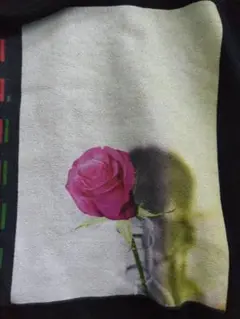 NATURAL BEAUTY 花柄 フラワー Tシャツ ハタサトシ 畑聡