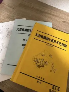 駿台 天然有機物と高分子化合物 解説プリントあり