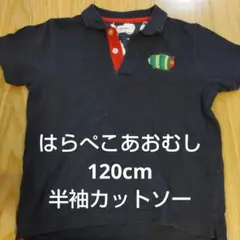 はらぺこあおむし 120cm 半袖ポロシャツ
