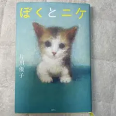 ぼくとニケ