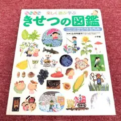 【美品】小学館のこども図鑑プレNEO「きせつの図鑑」★期間限定価格★8月末まで