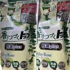 Item thumbnail for item 4ff9de8d-3930-40f9-bb65-2e1e47a6cd86