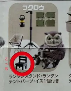 フクロウ　どつぶつキャンプ04