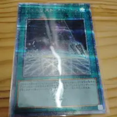 遊戯王 デュエリスト・アドベント　25thシークレット