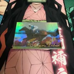 The Victory 1999 メジロドーベル