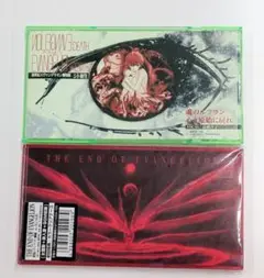 劇場版エヴァンゲリオン 8センチCD2枚セット