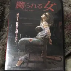 セルDVD 嬲られる女  一視聴極美品  エロティクサスペンス 激レア
