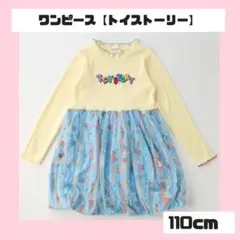 ワンピース トイストーリー