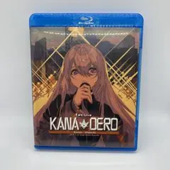 即購入ok!!樋口楓 Blu-ray
